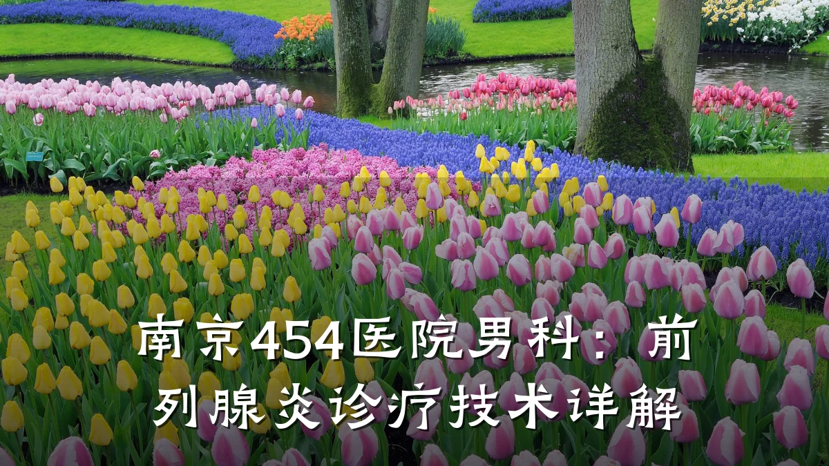 南京454医院男科：前列腺炎诊疗技术详解