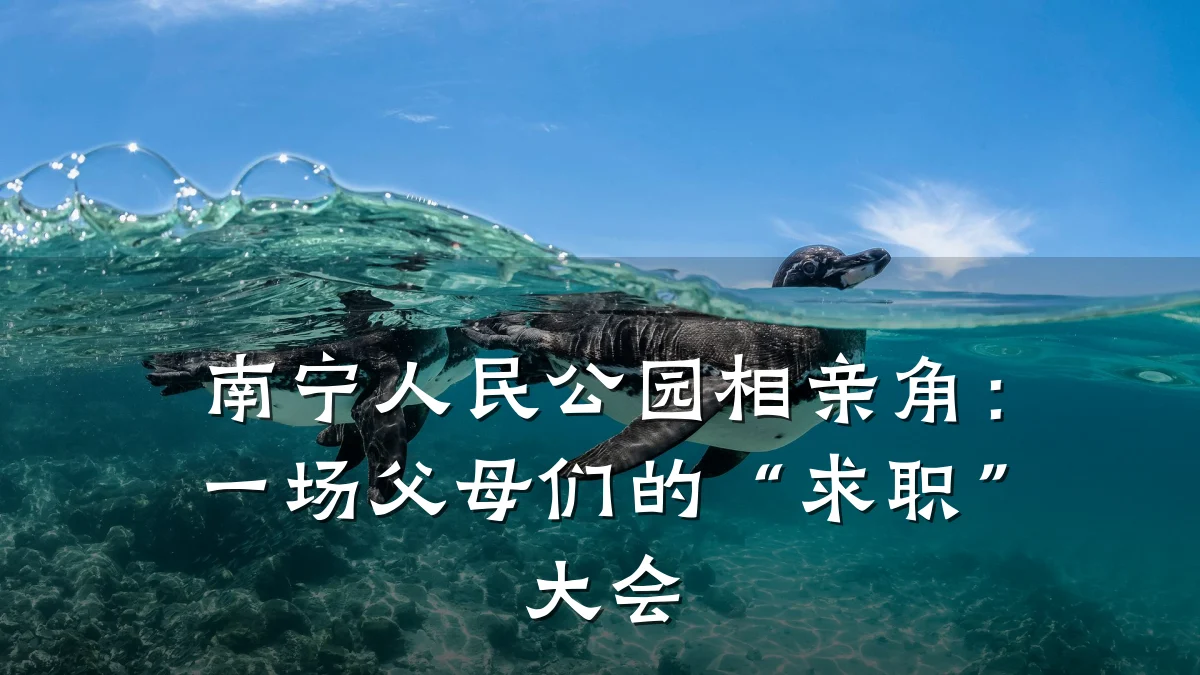 南宁人民公园相亲角:一场父母们的“求职”大会