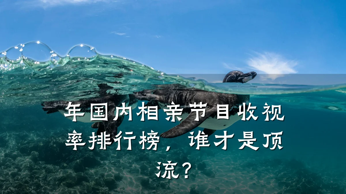 年国内相亲节目收视率排行榜,谁才是顶流?