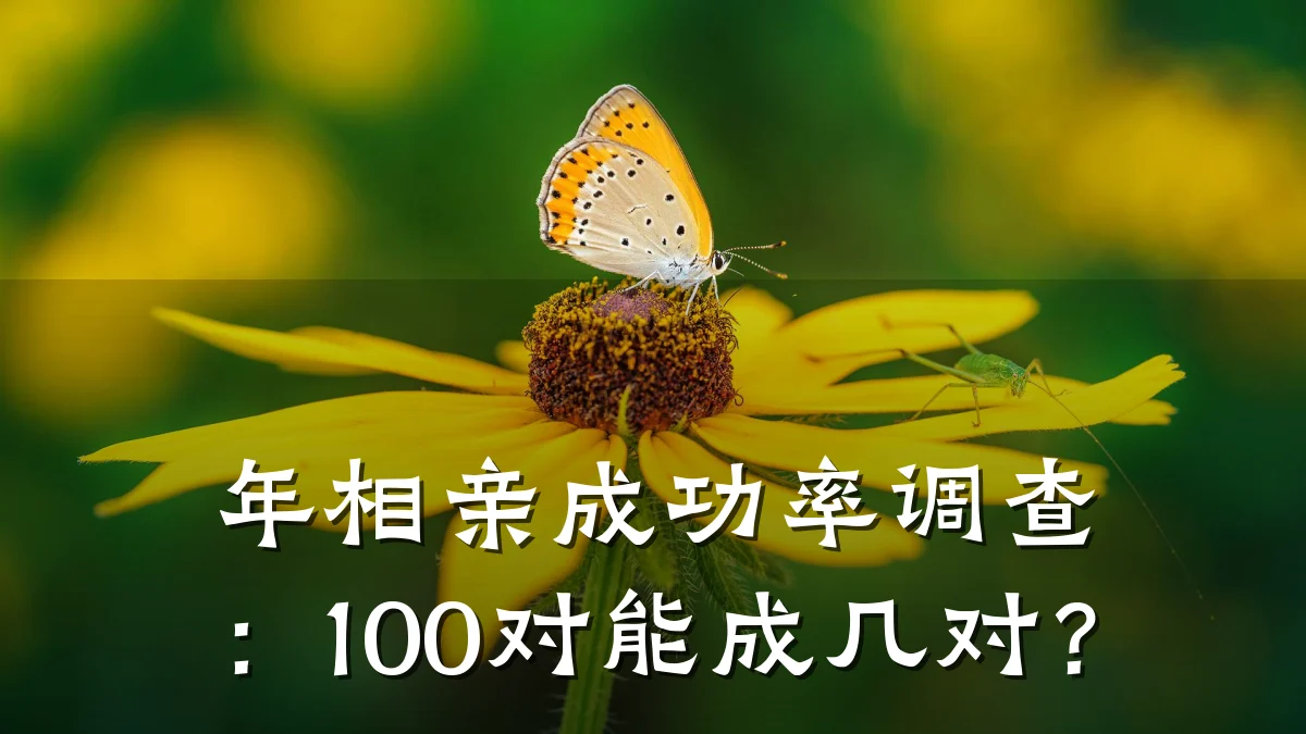 年相亲成功率调查:100对能成几对?