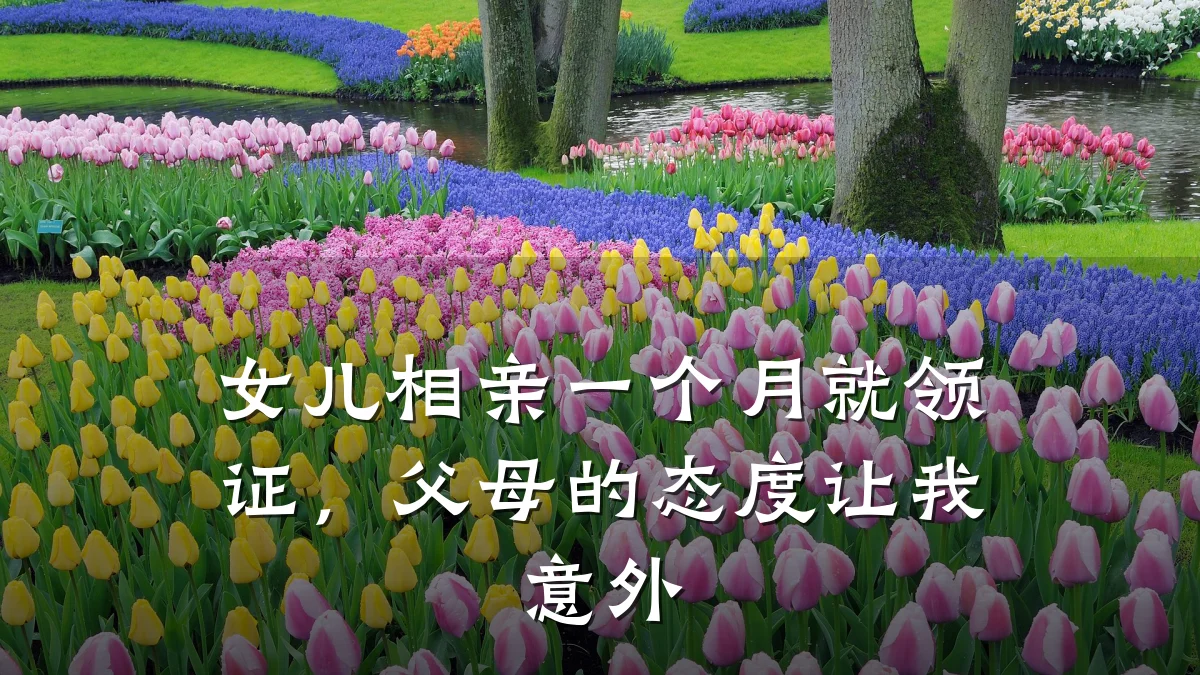 女儿相亲一个月就领证,父母的态度让我意外