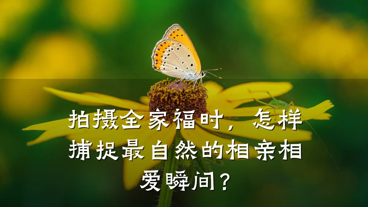 拍摄全家福时,怎样捕捉最自然的相亲相爱瞬间?