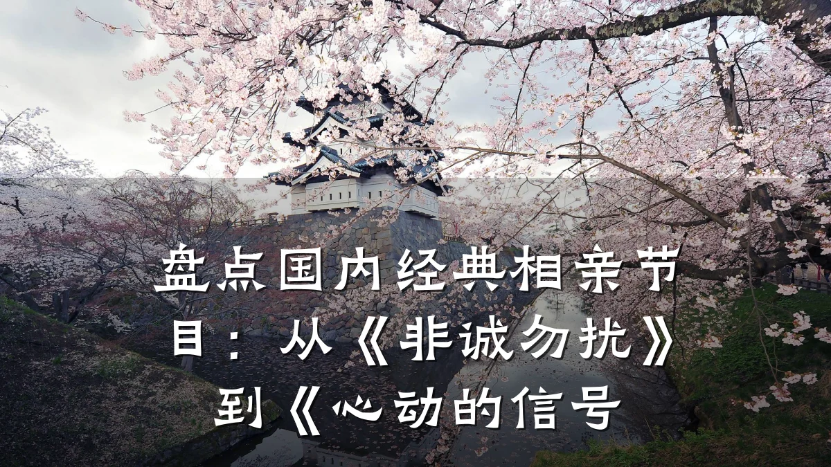 盘点国内经典相亲节目:从《非诚勿扰》到《心动的信号