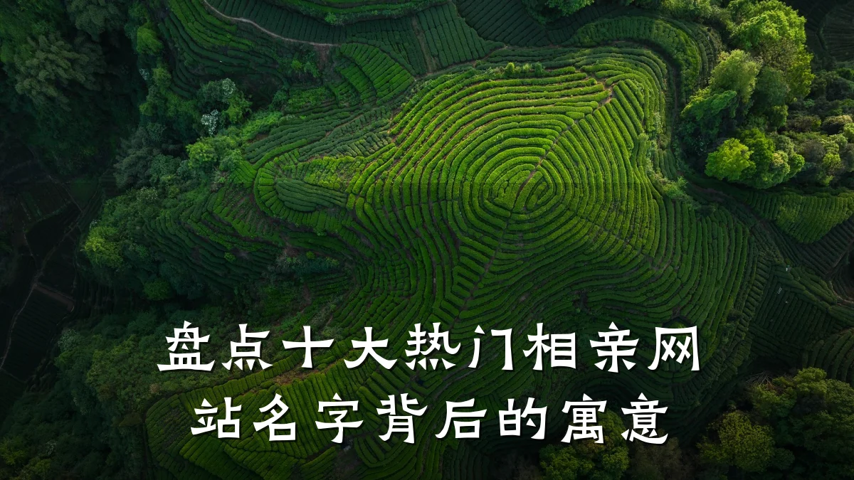 盘点十大热门相亲网站名字背后的寓意