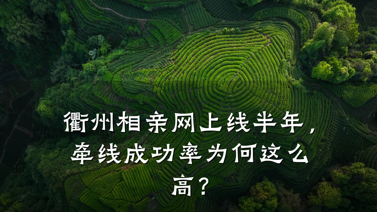 衢州相亲网上线半年,牵线成功率为何这么高?