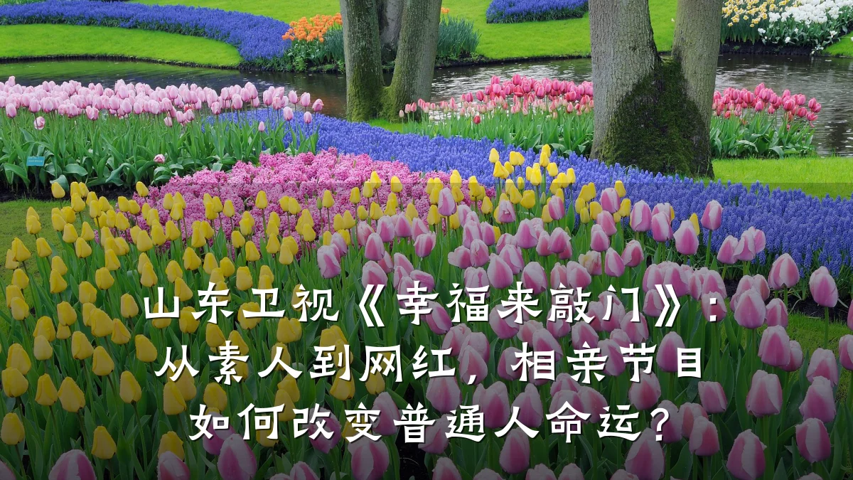 山东卫视《幸福来敲门》:从素人到网红,相亲节目如何改变普通人命运?