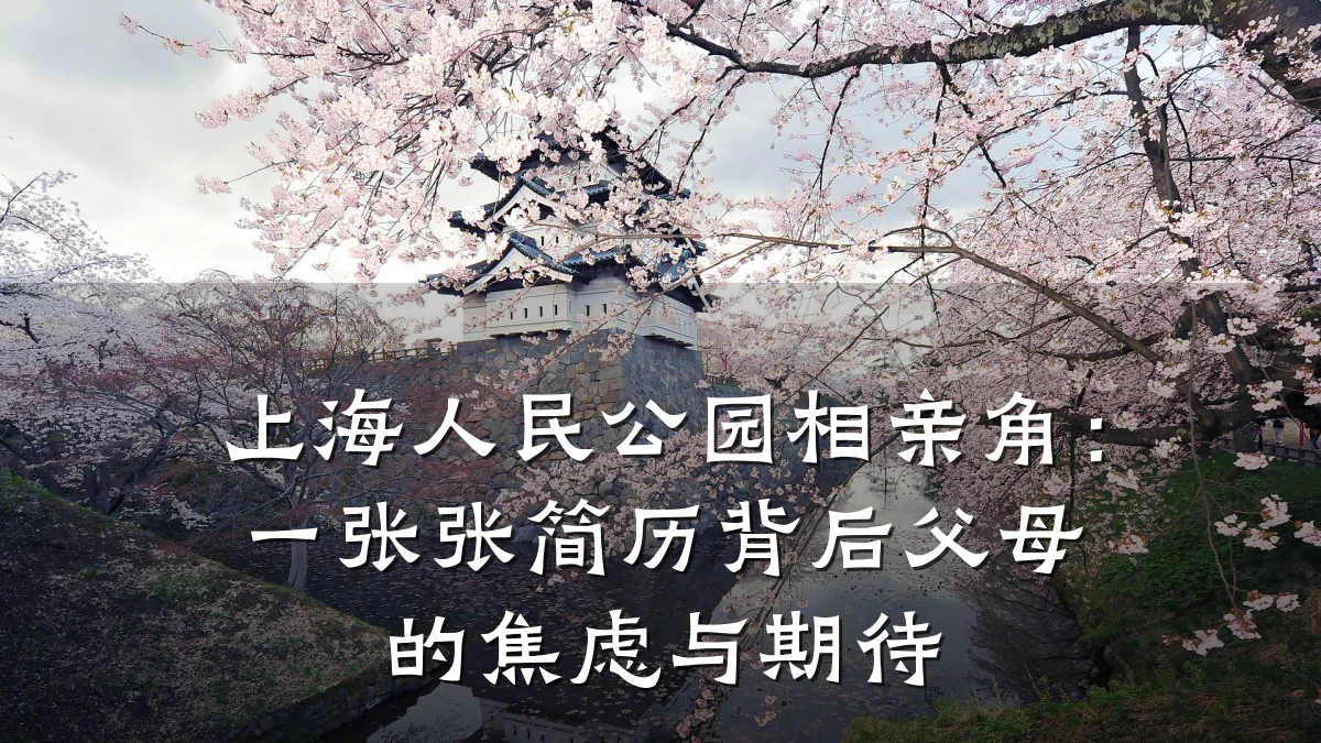 上海人民公园相亲角:一张张简历背后父母的焦虑与期待
