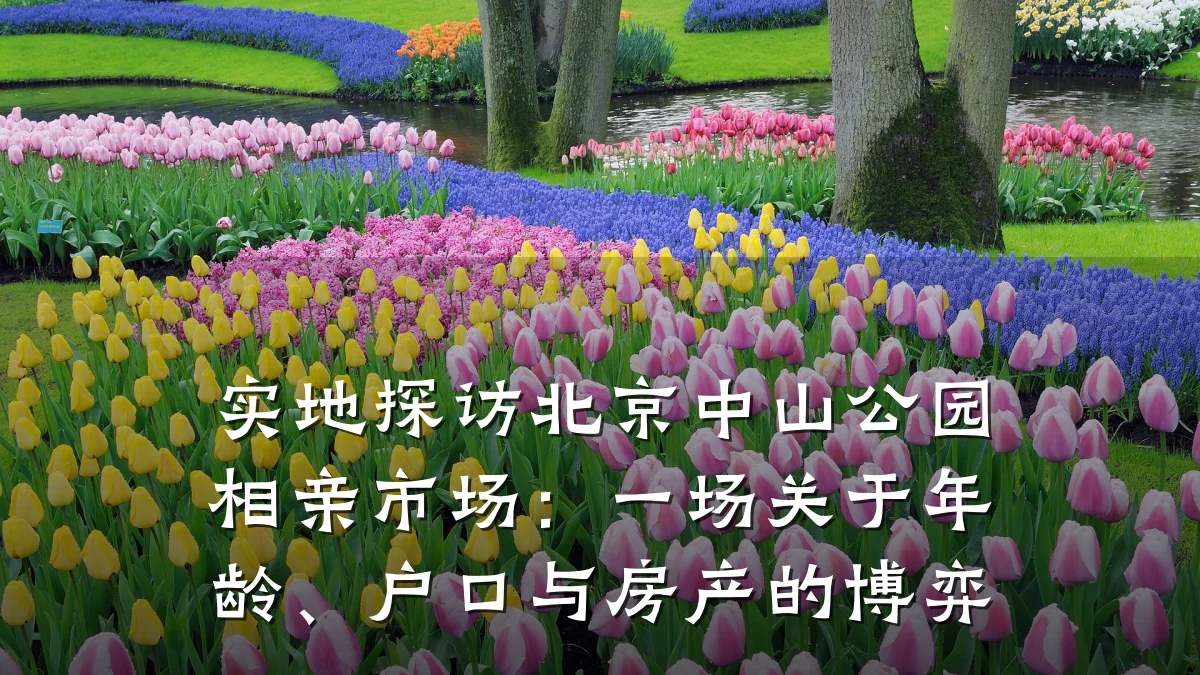 实地探访北京中山公园相亲市场:一场关于年龄、户口与房产的博弈