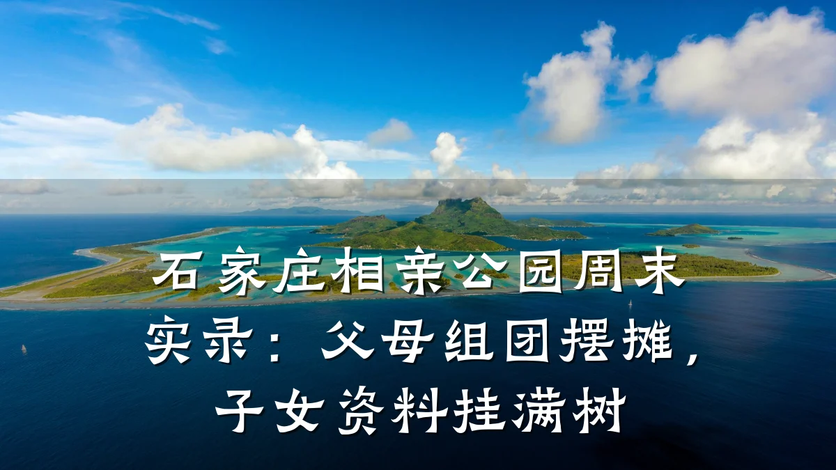 石家庄相亲公园周末实录:父母组团摆摊,子女资料挂满树