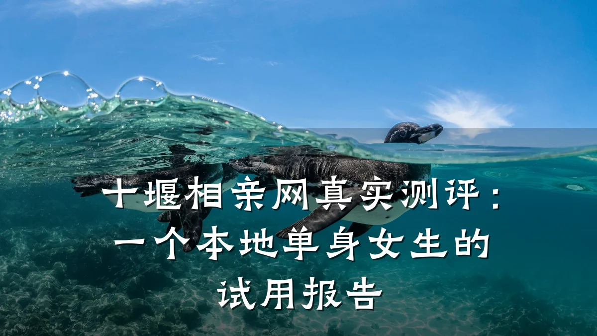 十堰相亲网真实测评:一个本地单身女生的试用报告