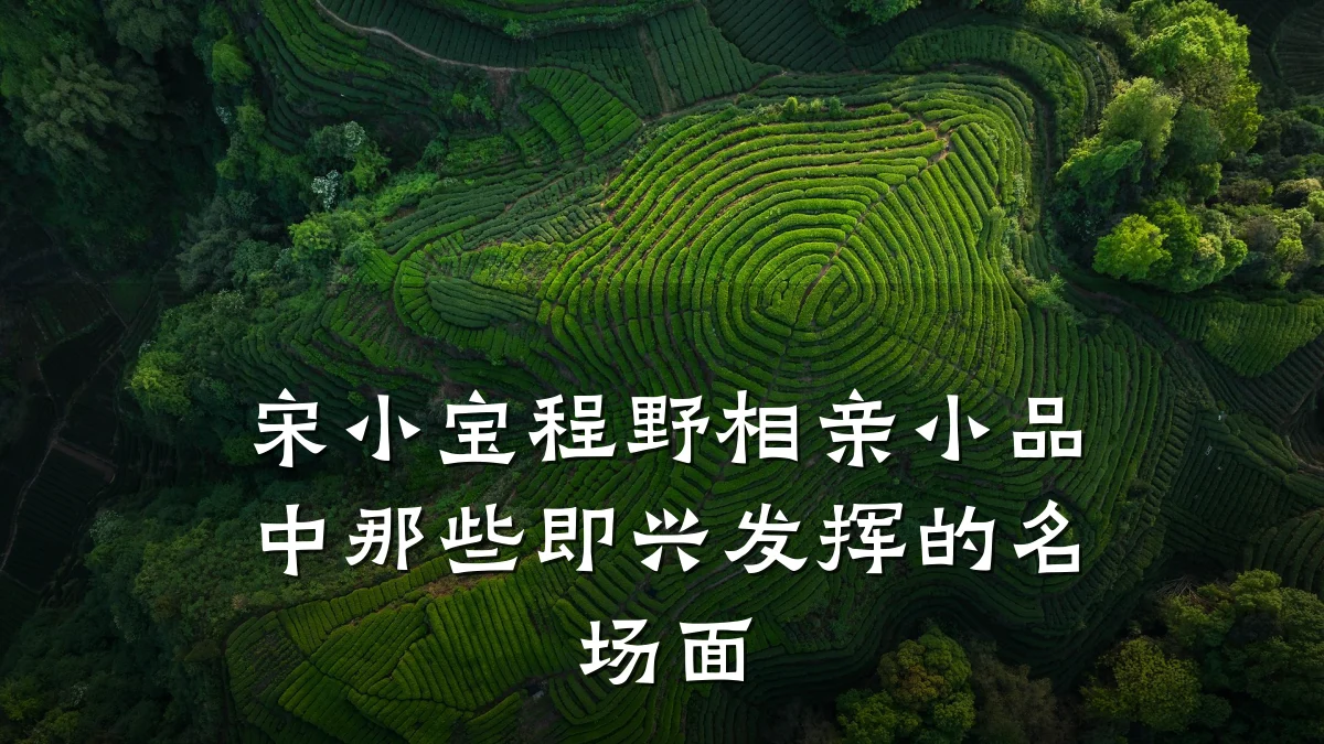 宋小宝程野相亲小品中那些即兴发挥的名场面