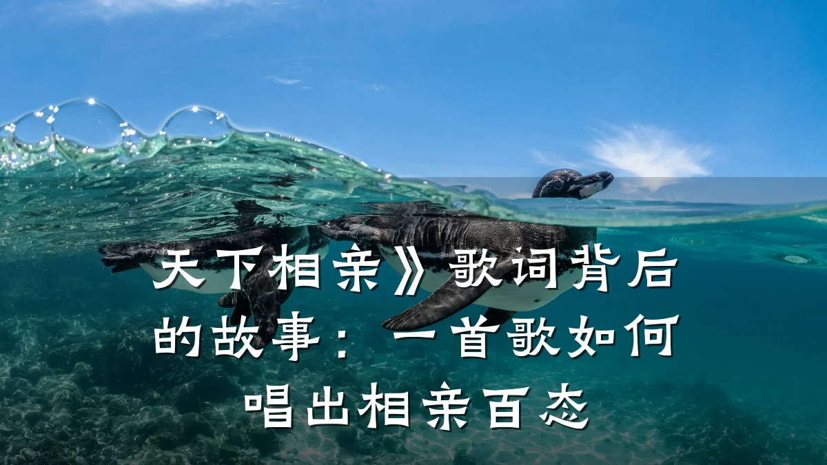 天下相亲》歌词背后的故事:一首歌如何唱出相亲百态