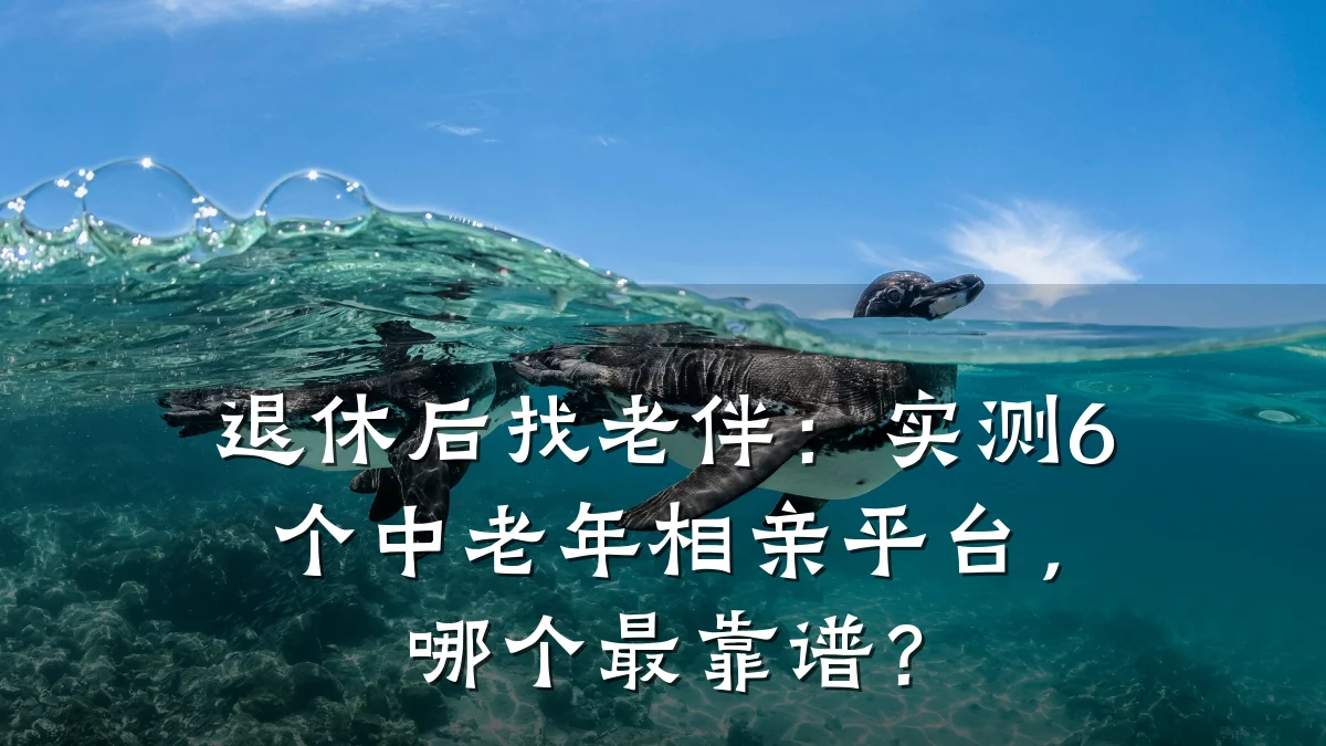 退休后找老伴:实测6个中老年相亲平台,哪个最靠谱?