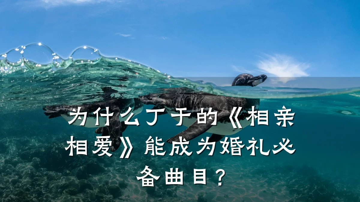 为什么丁于的《相亲相爱》能成为婚礼必备曲目?