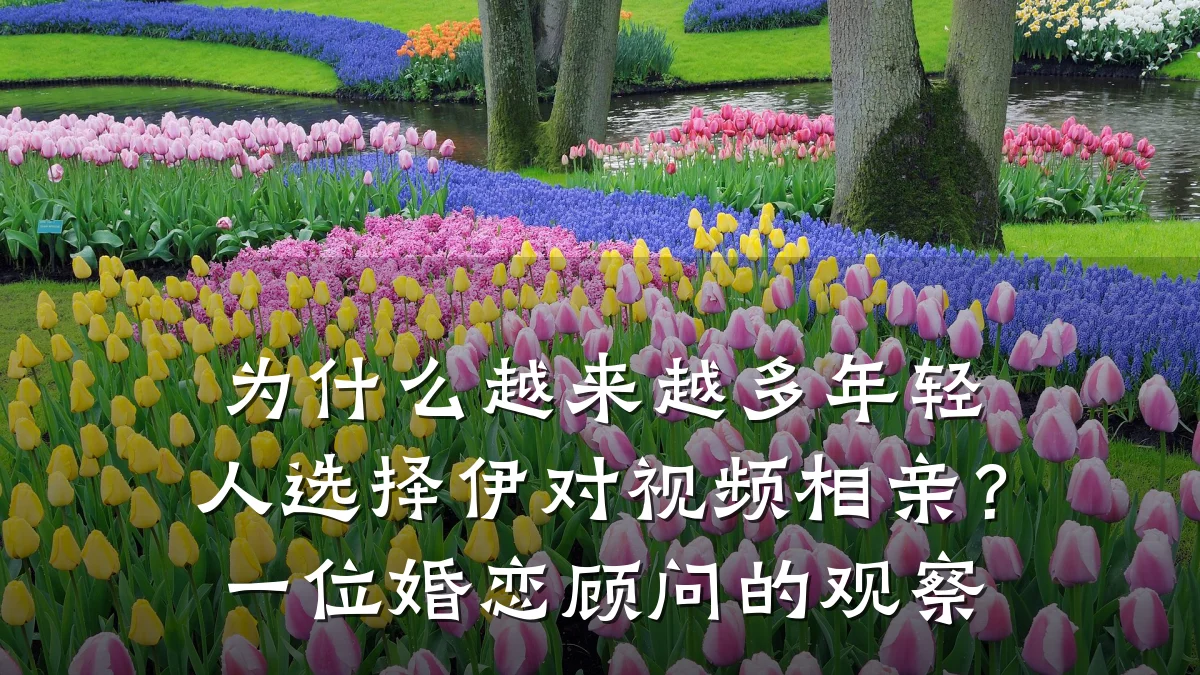 为什么越来越多年轻人选择伊对视频相亲？一位婚恋顾问的观察