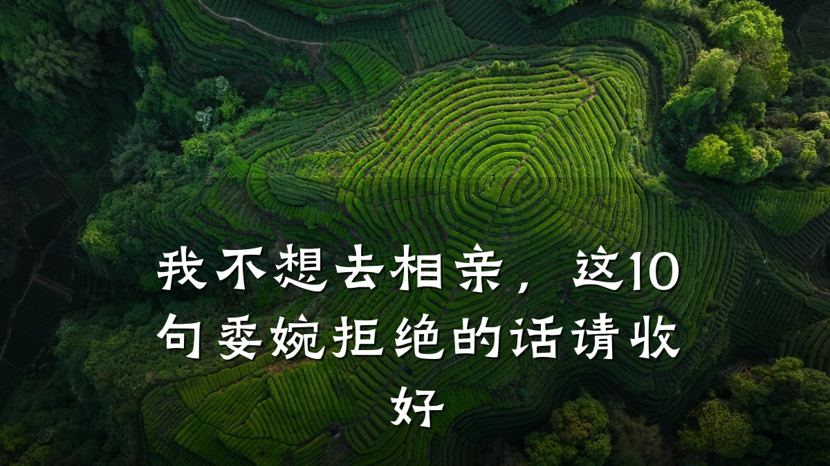 我不想去相亲,这10句委婉拒绝的话请收好