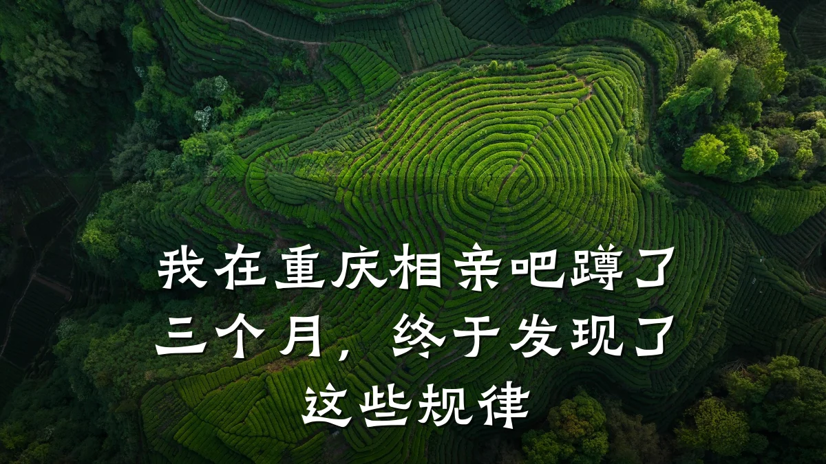 我在重庆相亲吧蹲了三个月，终于发现了这些规律