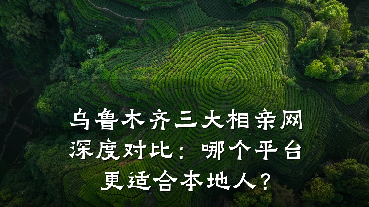 乌鲁木齐三大相亲网深度对比:哪个平台更适合本地人?