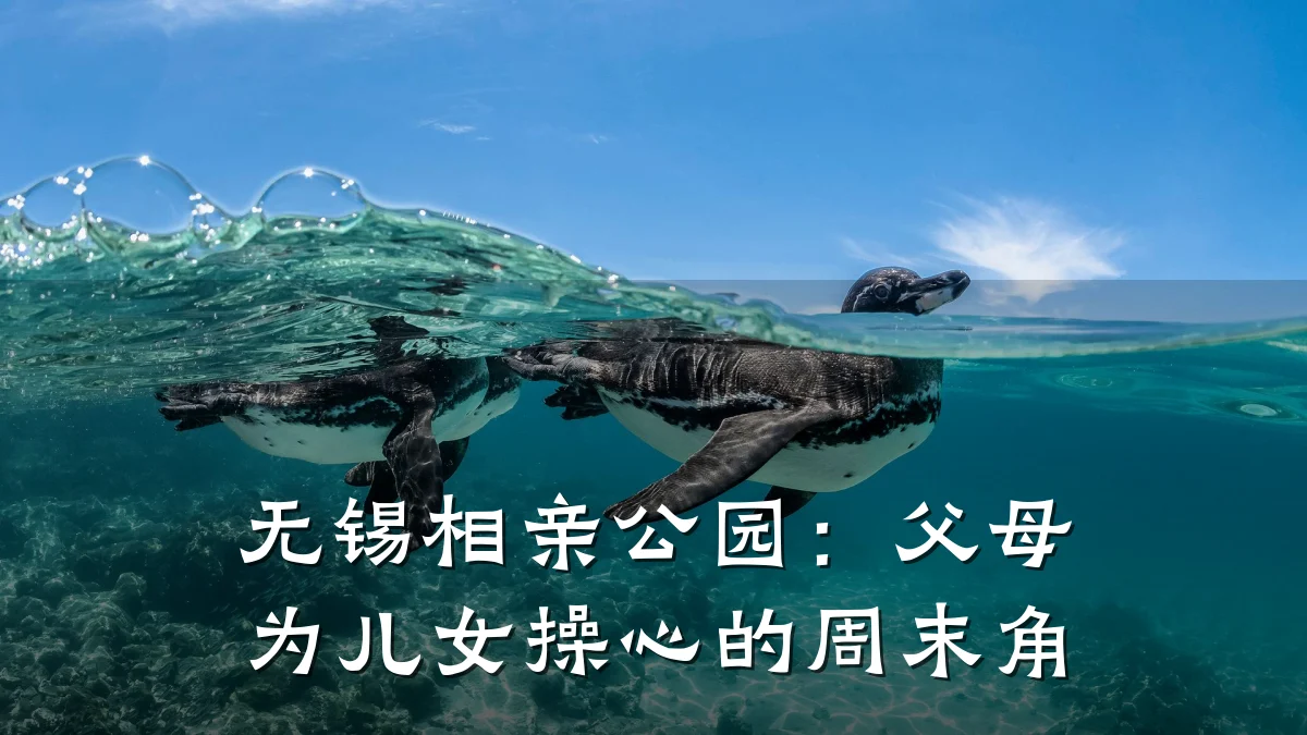 无锡相亲公园:父母为儿女操心的周末角