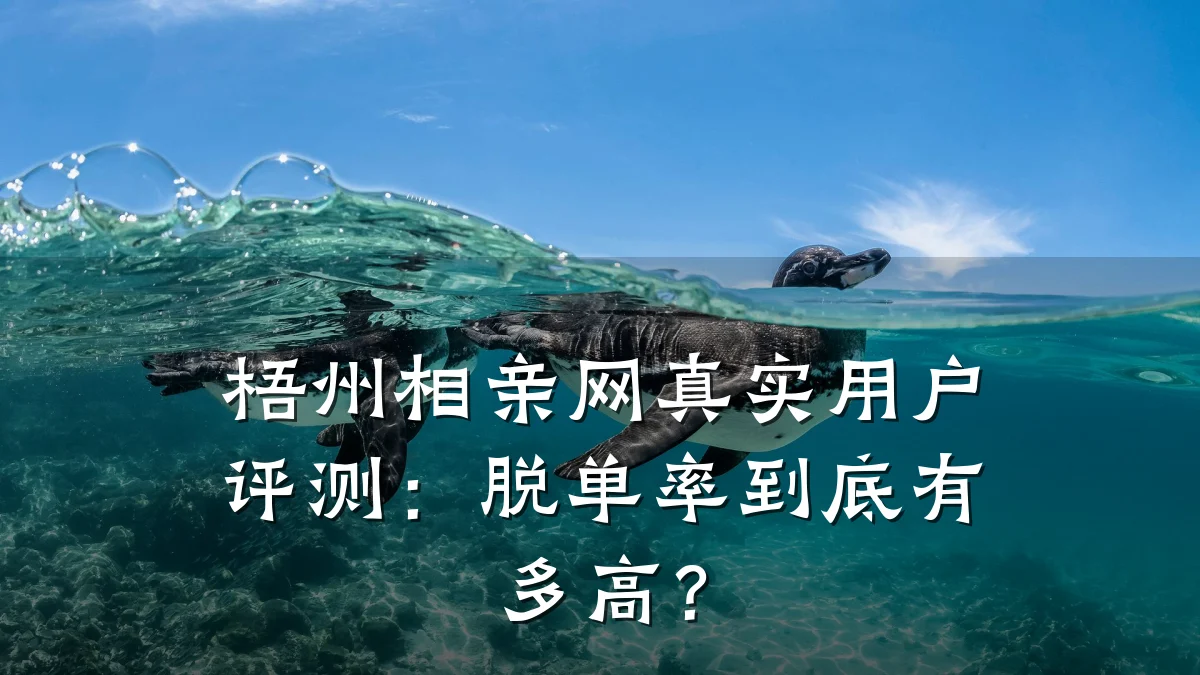 梧州相亲网真实用户评测:脱单率到底有多高?