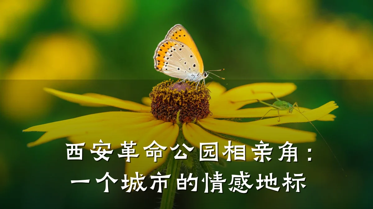 西安革命公园相亲角:一个城市的情感地标