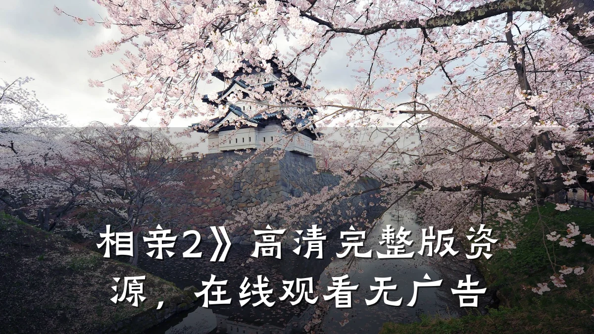 相亲2》高清完整版资源,在线观看无广告