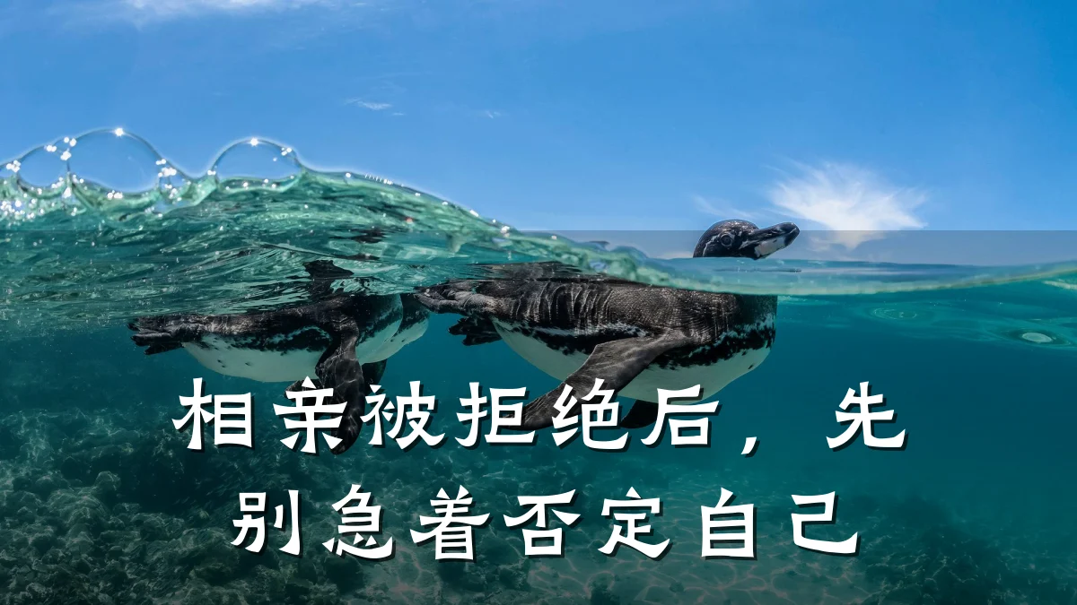 相亲被拒绝后,先别急着否定自己