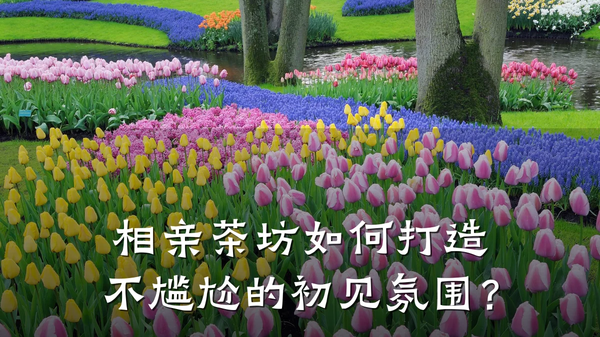 相亲茶坊如何打造不尴尬的初见氛围?