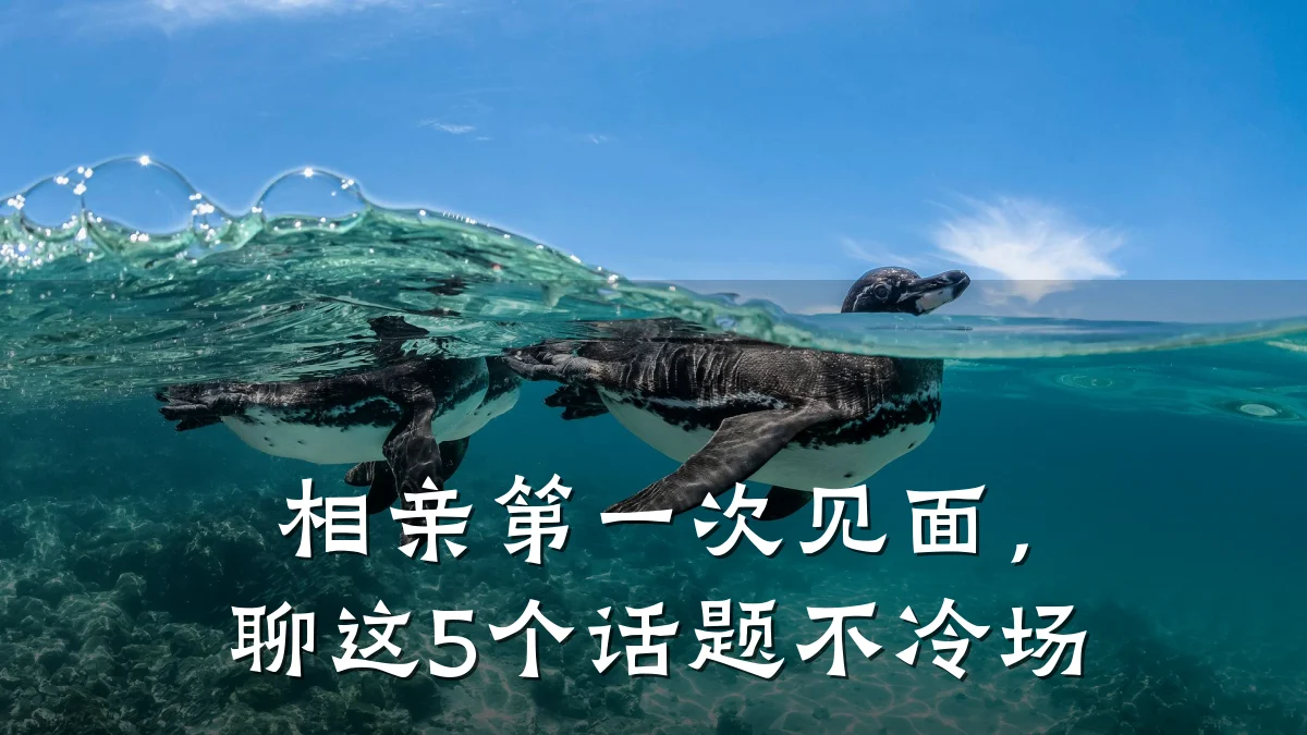 相亲第一次见面,聊这5个话题不冷场