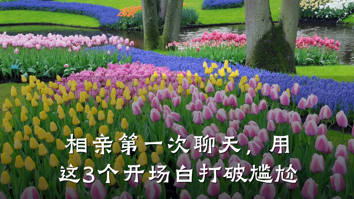 相亲第一次聊天,用这3个开场白打破尴尬