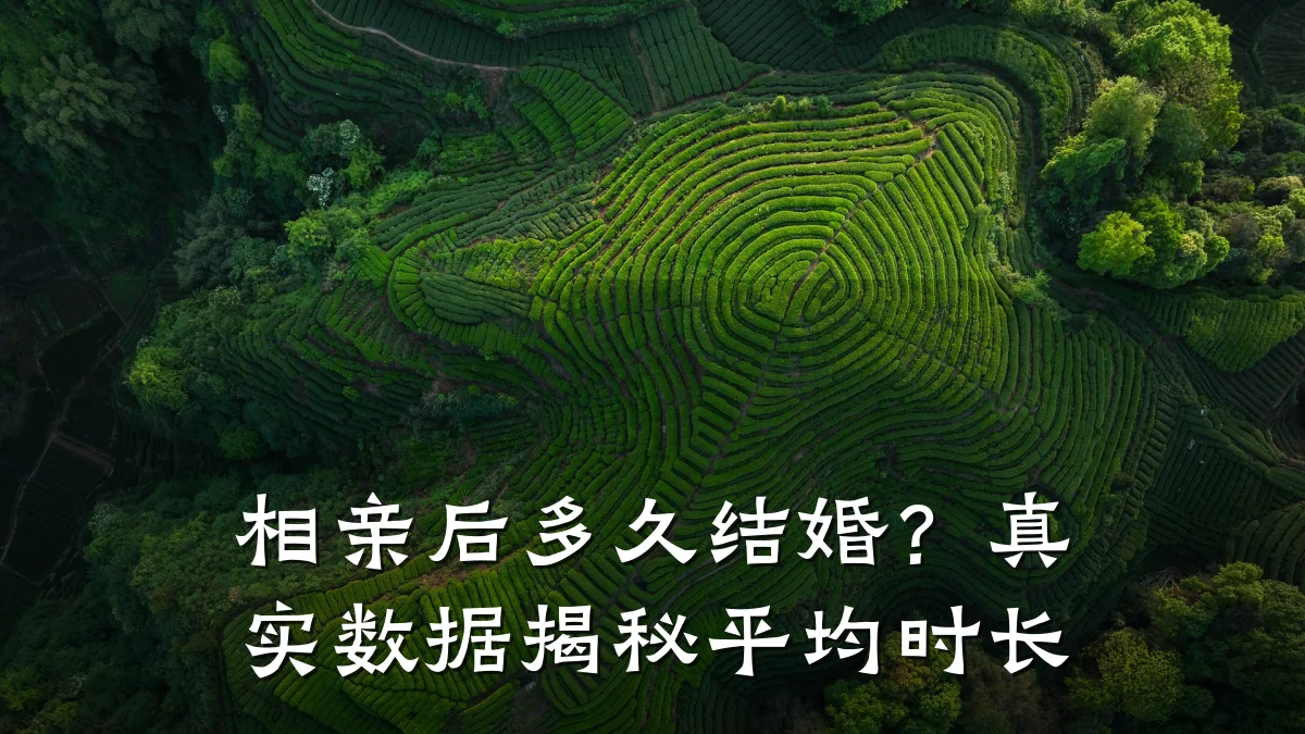 相亲后多久结婚?真实数据揭秘平均时长