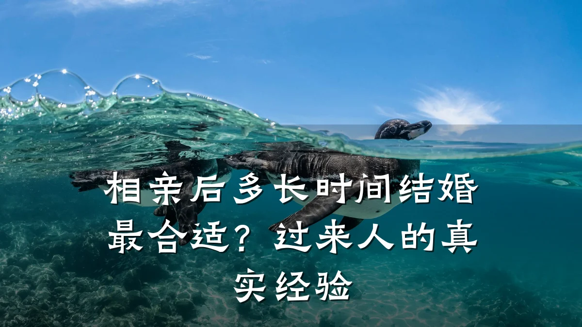 相亲后多长时间结婚最合适?过来人的真实经验