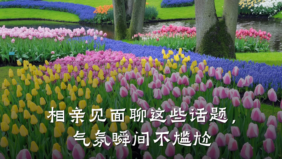相亲见面聊这些话题,气氛瞬间不尴尬