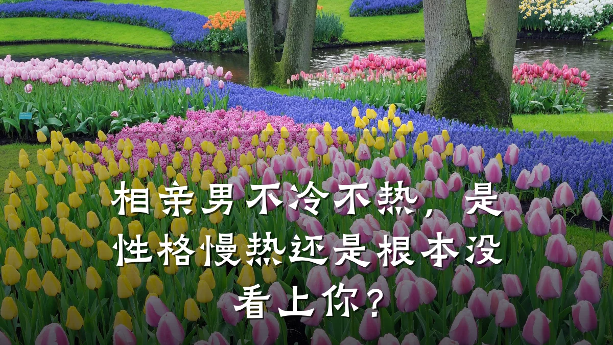 相亲男不冷不热,是性格慢热还是根本没看上你?