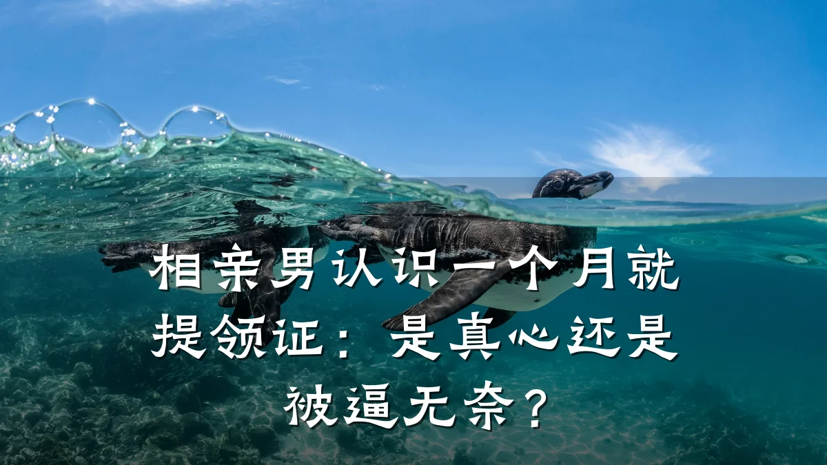 相亲男认识一个月就提领证:是真心还是被逼无奈?