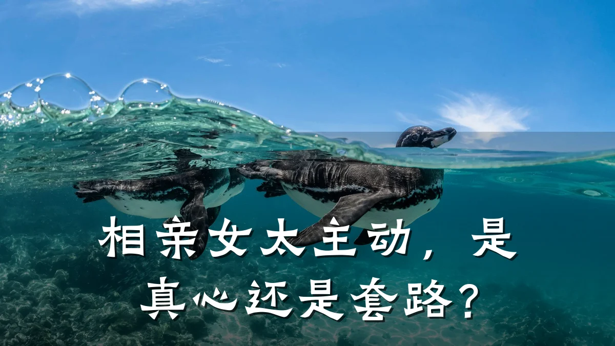 相亲女太主动,是真心还是套路?