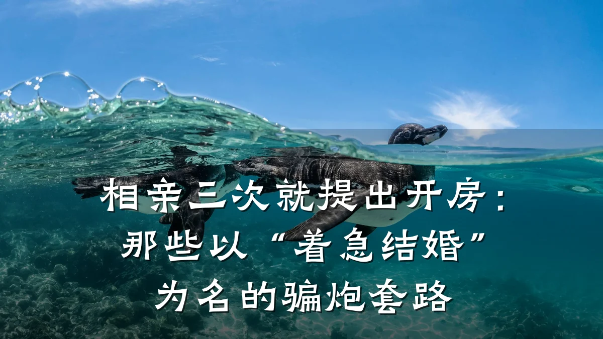 相亲三次就提出开房:那些以“着急结婚”为名的骗炮套路