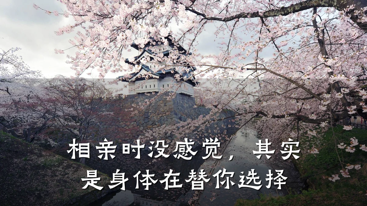 相亲时没感觉，其实是身体在替你选择