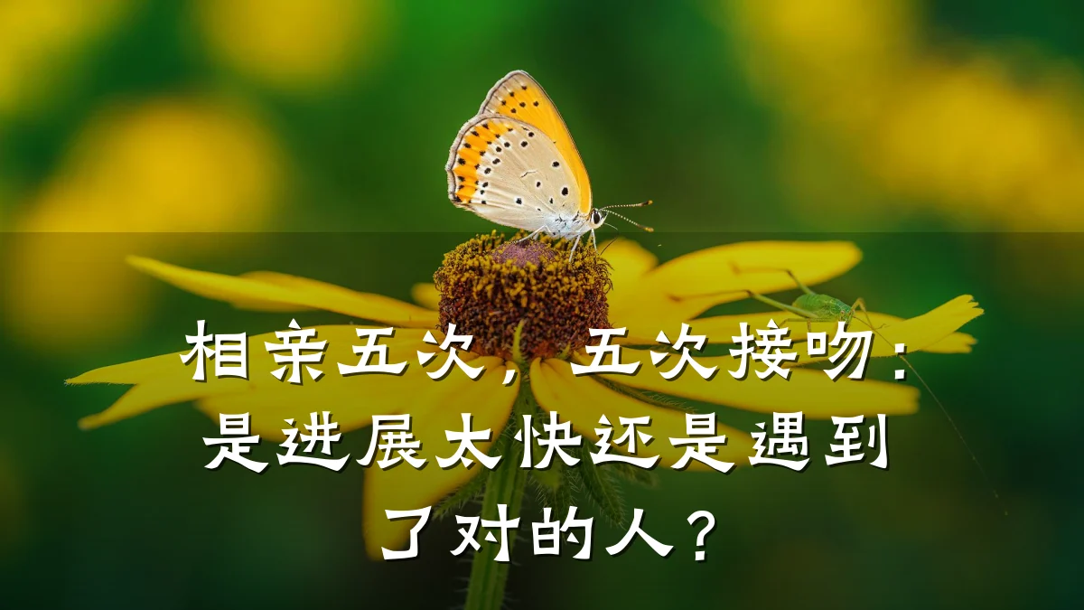 相亲五次,五次接吻:是进展太快还是遇到了对的人?