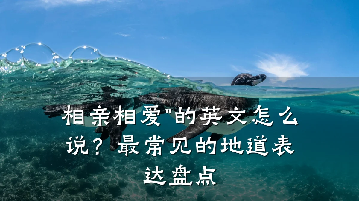 相亲相爱"的英文怎么说?最常见的地道表达盘点