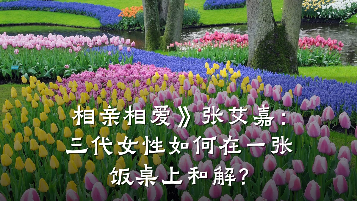 相亲相爱》张艾嘉:三代女性如何在一张饭桌上和解?