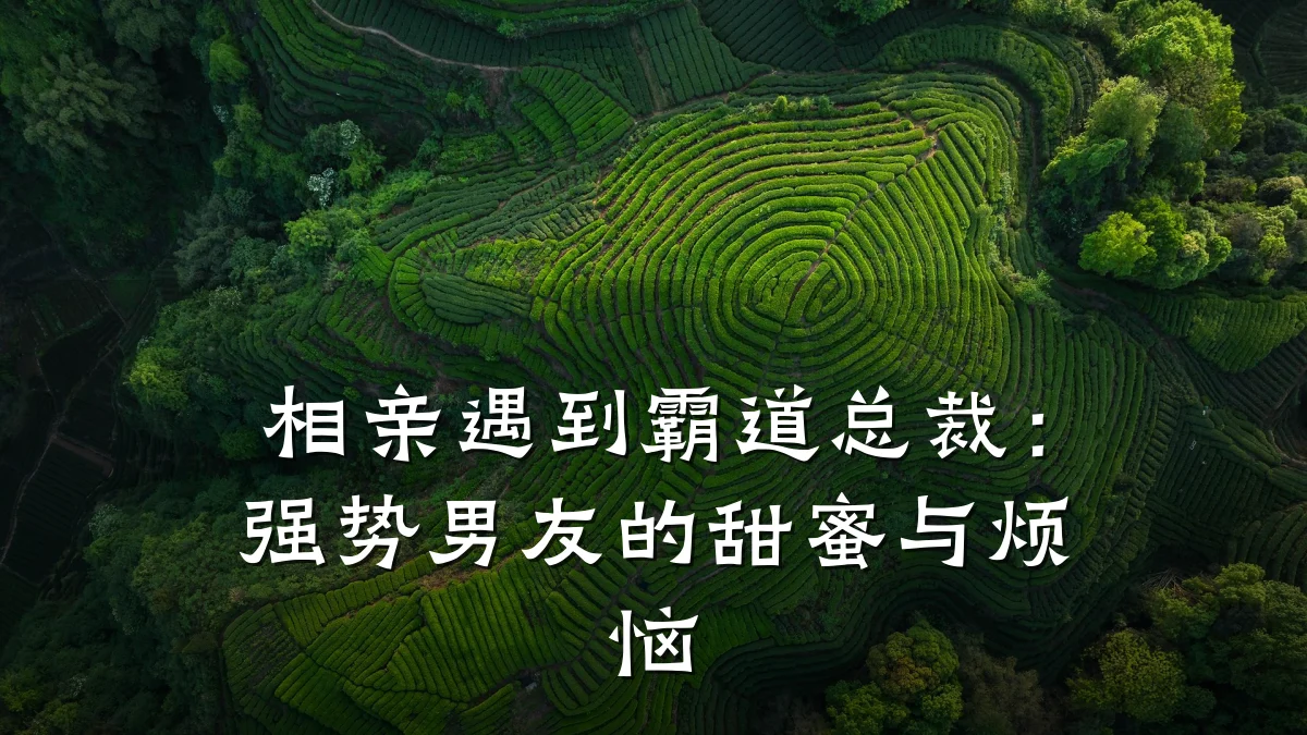 相亲遇到霸道总裁:强势男友的甜蜜与烦恼