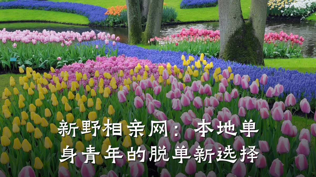 新野相亲网:本地单身青年的脱单新选择