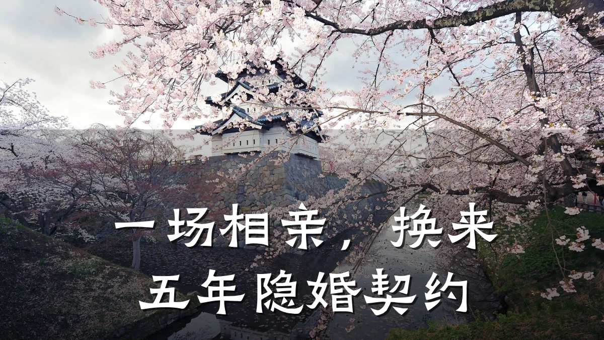 一场相亲,换来五年隐婚契约