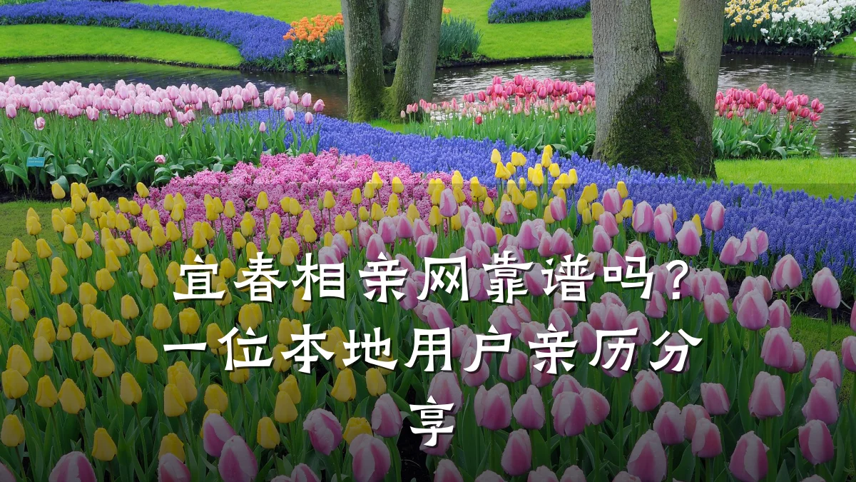宜春相亲网靠谱吗?一位本地用户亲历分享