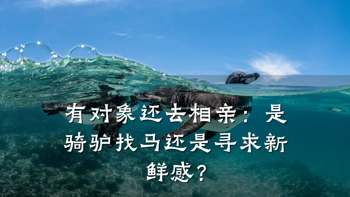有对象还去相亲:是骑驴找马还是寻求新鲜感?