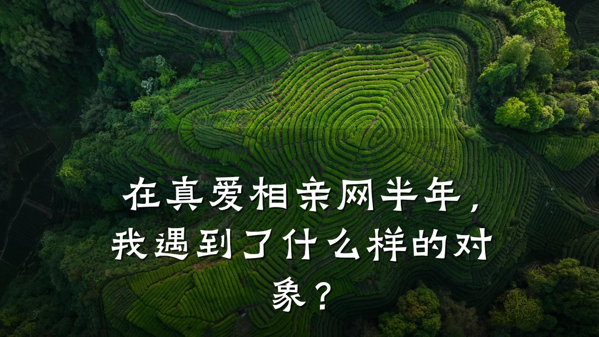 在真爱相亲网半年,我遇到了什么样的对象?