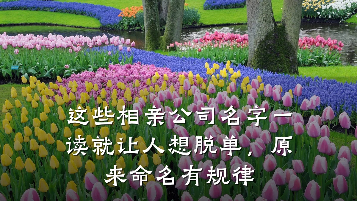 这些相亲公司名字一读就让人想脱单,原来命名有规律