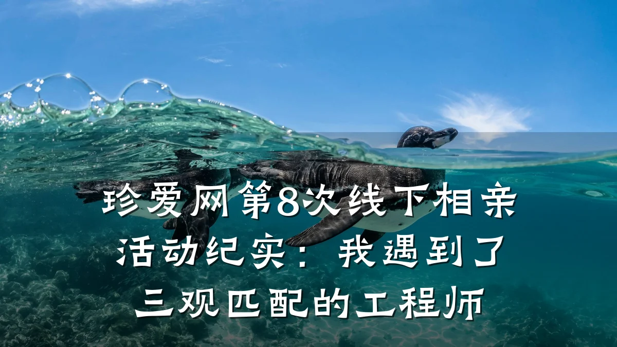珍爱网第8次线下相亲活动纪实:我遇到了三观匹配的工程师