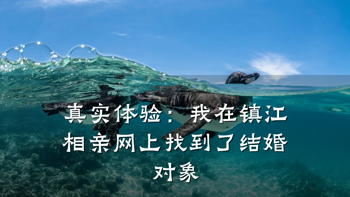 真实体验:我在镇江相亲网上找到了结婚对象